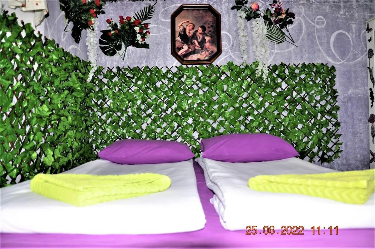 Social Guest House 索菲亞